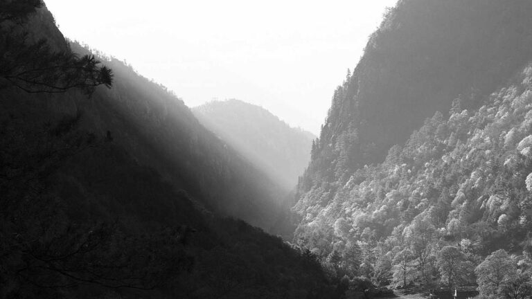 Under What Law Is Cricbet99 Considered Legal?