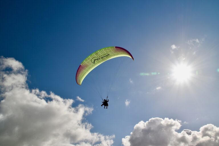 Reddybook Review: A Comprehensive Guide to the Innovative Educational Platform